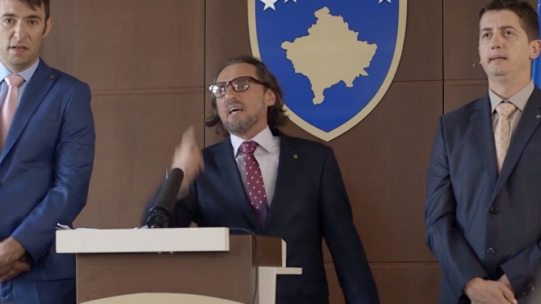 Si i mirëpresin politikanët e Kosovës diasporën sipas Stupcave (Video)