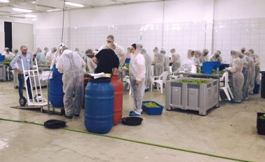 Abrashi vizitoi fabrikën ‘Philippos Food’ në Podujevë, ku 300 punëtorë filluan punën