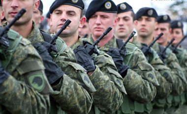Demaku: Shndërrimi i FSK-së në Ushtri është çështje politike (Video)