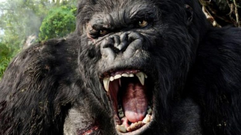 Si do të jetë filmi i ri për King Kongun (Video)