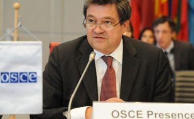Miratimi i Reformës, OSBE: Arritje e rëndësishme