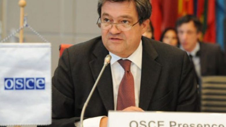 Miratimi i Reformës, OSBE: Arritje e rëndësishme