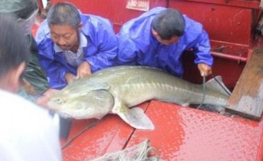 Peshkatarët e shokuar me peshkun misterioz, që e kapën në rrjet (Foto)