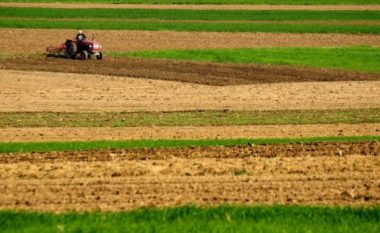 Kosovarët rrezikojnë të mbesin pa bukë për shkak të “betonimit” të tokave bujqësore