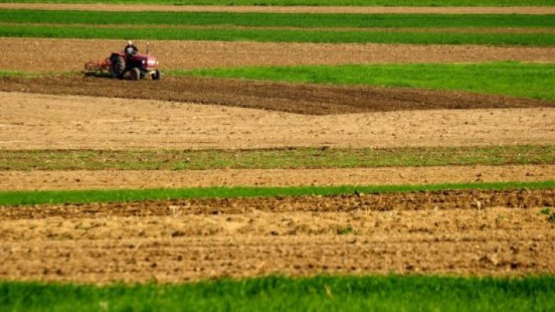 Kosovarët rrezikojnë të mbesin pa bukë për shkak të “betonimit” të tokave bujqësore