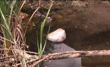 Familja nga Prishtina ankohet se kanalizimi i fqinjit ia helmoi fëmijën (Video)