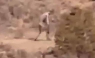 Filmohet një krijesë e çuditshme duke ecur nëpër shkretëtirë (Foto/Video)