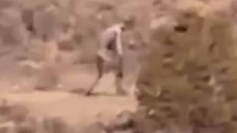 Filmohet një krijesë e çuditshme duke ecur nëpër shkretëtirë (Foto/Video)
