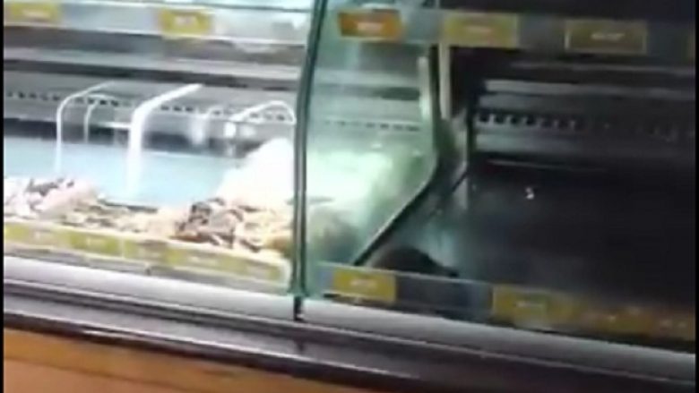 Shikoni si shëtit miu gjigant nëpër bukë në një furrë në Serbi (Video)
