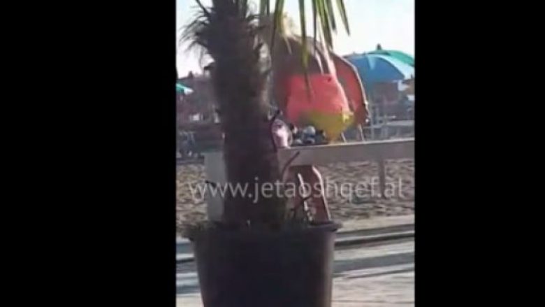 Biondja shqiptare ndërrohet në plazh, heq të brendshmet në sy të pushuesve (Video, +16)