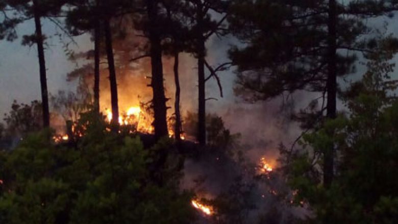 Zjarri përfshin një zonë të pyllëzuar në Gramsh