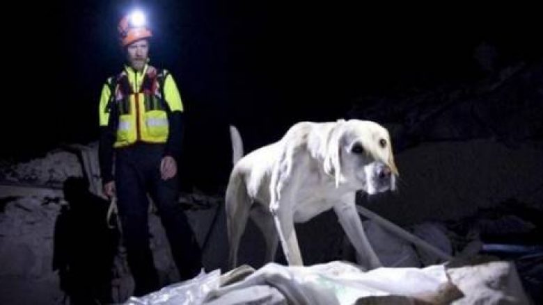 Tërmeti në Itali, qeni nuk e braktis të zotin as pas vdekjes (Video)