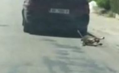 Pamje ç’njerëzore në Durrës, makina tërheq zvarrë një qen (Video)