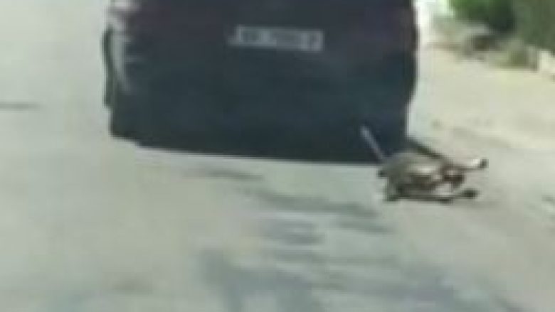 Pamje ç’njerëzore në Durrës, makina tërheq zvarrë një qen (Video)