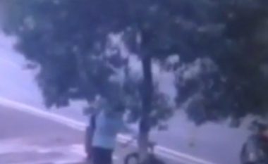 Hajni preu pemën, për të vjedhur biçikletën e lidhur për të (Video)