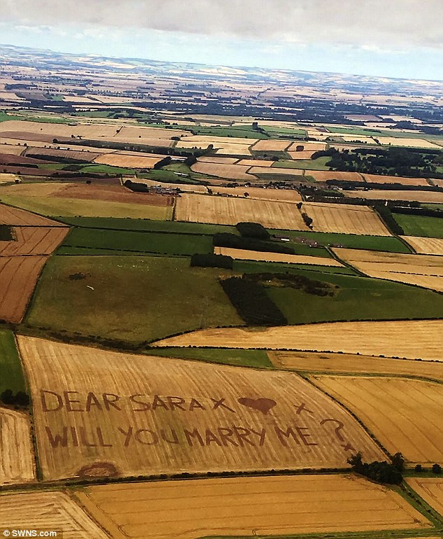 I propozoi martesë me ndihmën e helikopterit dhe kombajnës foto 3