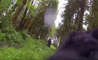 Kamera e kapur në qafën e qenit, dyshohet se e ka xhiruar Big Foot-in (Video)