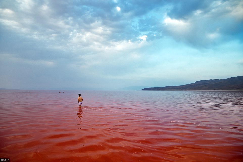 Liqeni me ujë të njelmët merr brenda nates ngjyren e kuqe foto 5