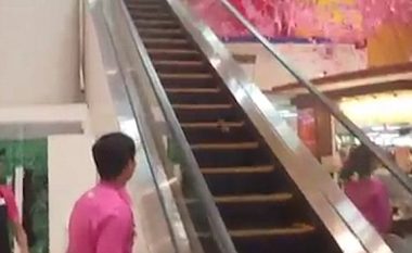 Miu gjigant kërcen nëpër shkallët lëvizëse të qendrës tregtare (Video)
