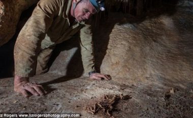Pas 40 vitesh, identifikohet fosili i krijesës misterioze i gjetur në shpellë (Foto)