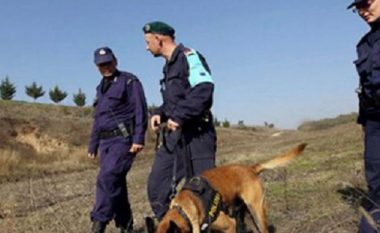Maqedoni-Shqipëri, bashkëpunim i mirë i policive kufitare