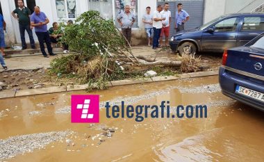 A po anashkalohen rajonet shqiptare të përmbytura të Shkupit? (Video)