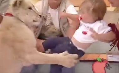 Video shokuese: Luani sulmon foshnjën gjatë transmetimit të drejtpërdrejt në televizion (Video)