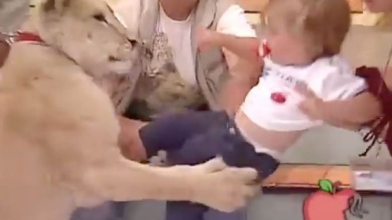 Video shokuese: Luani sulmon foshnjën gjatë transmetimit të drejtpërdrejt në televizion (Video)