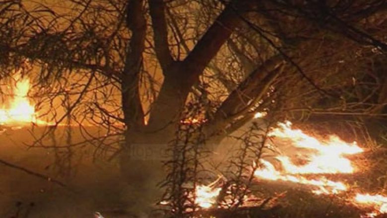 Përfundon beteja me zjarrin në pyllin e Poros në Vlorë