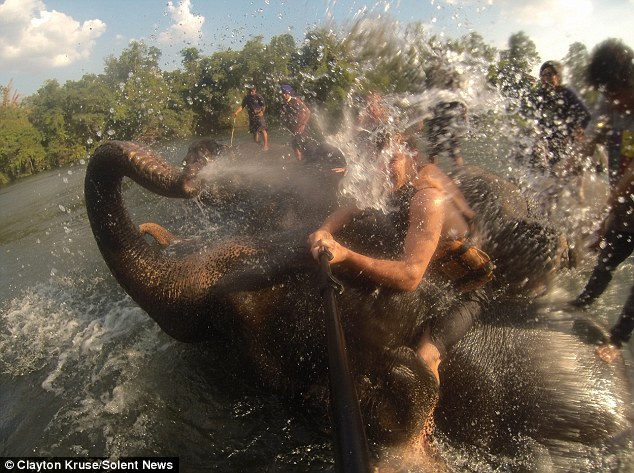 Elefanti i hodhi ujë fytyrës derisa po bënte selfie foto 2