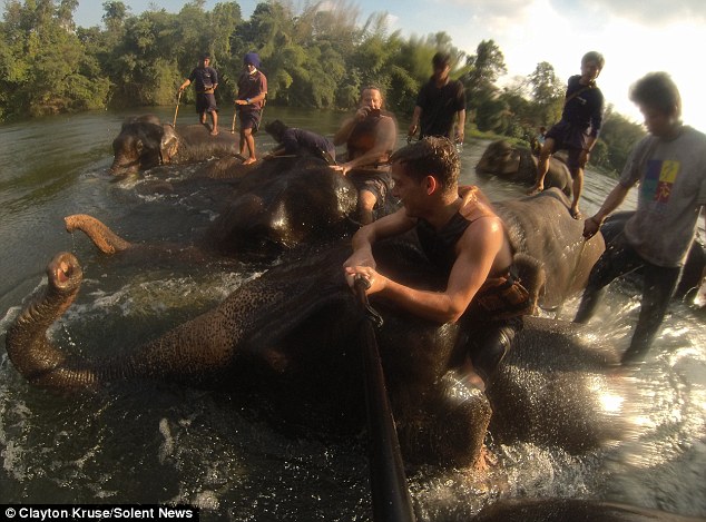 Elefanti i hodhi ujë fytyrës derisa po bënte selfie foto 3