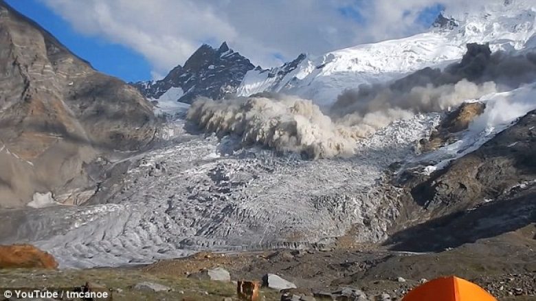 Hulumtuesi afrohet pranë ortekut gjigant, për një pamje më të mirë (Video)