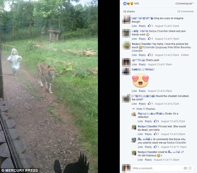 Vajza që ndjeke tigrin e ka tmerruar familjaren e saj foto 2