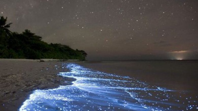Dëshironi të notoni në një det fluoreshent? Atëherë vizitojeni ishullin Vaadhoo (Foto)