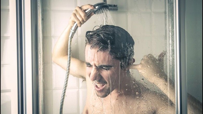 The four secrets of people who never get sick Telegraph Telegraph