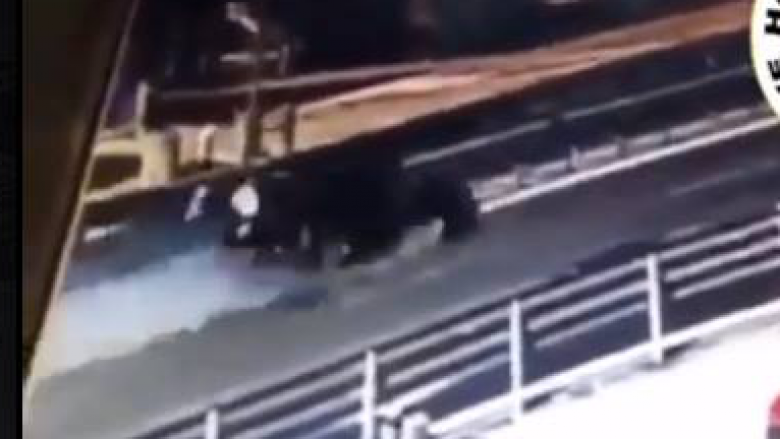 Tronditëse: Momenti kur automjeti përplas këmbësorin në Kavajë (Video)