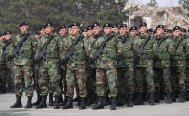Kosova ka kapacitet për ushtri moderne