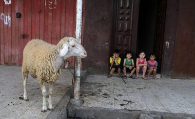 Nga Gaza në Mekë, kështu e festuan myslimanët Bajramin në botë (Foto)