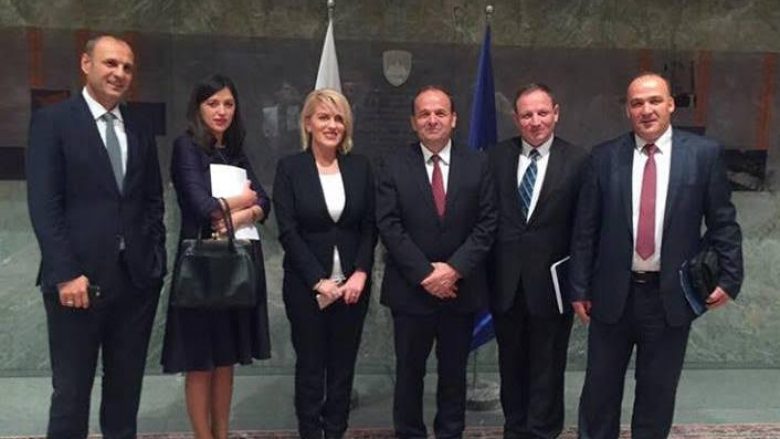 Deputetët kosovarë në Slloveni, marrin mbështetje për proceset integruese të Kosovës