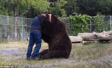 Pamje e rrallë: Shikoni si e përqafon ariu mikun e tij njeri (Video)