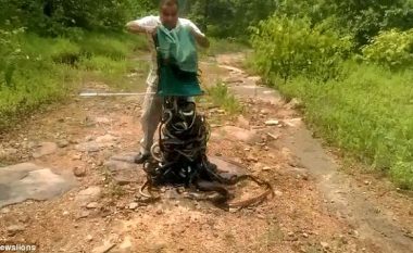 Gjahtari i gjarpërinjve: Shikoni momentin kur një burrë hapë thesin e mbushur me qindra gjarpërinj helmues dhe kobra (Foto/Video)