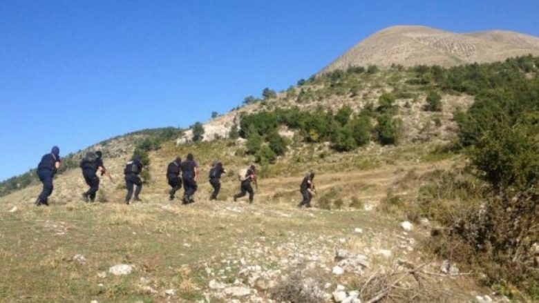Policia e Shtetit operacion masiv anti-kanabis në Shkodër dhe Vlorë, mbi 300 efektivë në terren