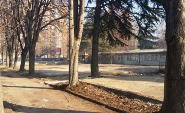 Për 18 drunj ‘Komuna Qendër’ e lëviz planin e shkollës në Kapishtec (Foto)