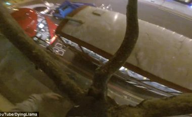 Kërcen nga pema në tavanin e autobusit, për një xhiro nëpër qytet (Video)
