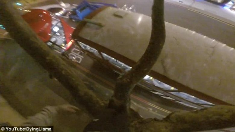 Kërcen nga pema në tavanin e autobusit, për një xhiro nëpër qytet (Video)