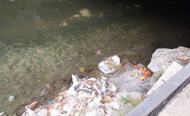 Papërgjegjësia e qytetarëve dhe e organeve komunale: “Te Tjegullorja” e mbeturinave në Mitrovicë (Foto)