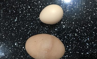 Pula e zakonshme bëri vezën katër herë më të madhe se një normale (Foto)