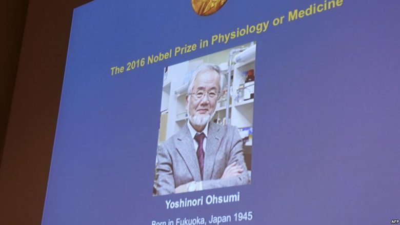 Yoshinori Ohsumi nga Japonia fiton Nobelin për Mjekësi