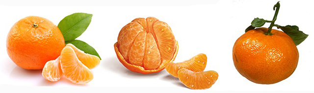 clementines-tangerines