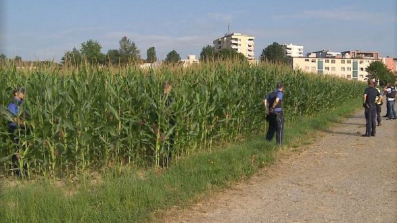 U kapën në “kallamoq”, dy shqiptarët akuzohen për 47 vjedhje të ndryshme